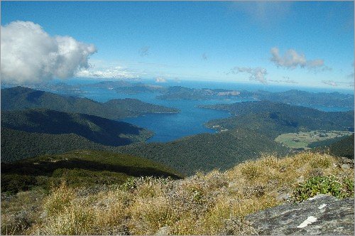 Picton - Franz Josef