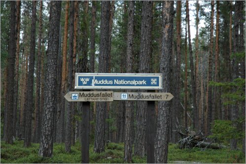 in jokkmokk hemmer infos bercho ber de muddus-nationalpark